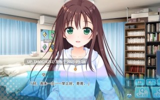 #哥哥，早起前要一直抱紧我哦！ #Hold Me Tight All Night, Onii-chan!   #ずっとギュッてして！ v1.01 官方中文步兵版