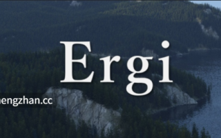 【欧美/同性/SLG/PC/机翻】埃尔吉 Ergi [v0.9573] [KKChar][2.94G]【序号5244】
