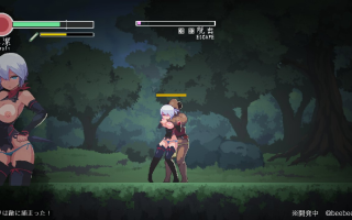 【PC端】忍者的冒险 v0.3【ACT/动态/像素】【无汉化】