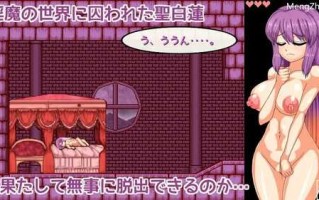 PC/东方同人ACT/圣白莲与淫魔魔城/官方中文版