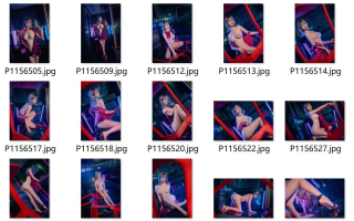 年年Nnian 小图集 7个风格部分 241P+3V