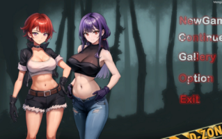 D-Zone  丝袜美腿