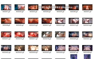 【合集/动漫GIF/萌盘】合集Gif(MEGAERA)