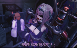 【法国原神糕手】【Punishing Gray Raven】【战双】【QOS】机密性偶改造计划----比安卡上+下（900m）