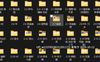 极品画师【NFFA】2025年2月图集整合包【2.19G】