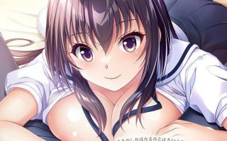 【拔作ADV/伦理/汉化】幸乃下萤的恋青日和 ～与义姐的秘密同居（幸乃下蛍の恋青日和 -お義姉ちゃんとの秘密同棲-）V1.0 AI汉化+存档