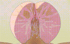 ~和逞强的小屁孩妹妹乱搞中出交配~