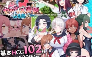 25[RPG汉化]【新作】在岛上进行性爱实践 セックス実習のある島で v1.0 [PC1.58G]