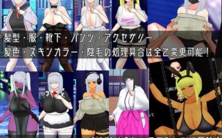 【回合RPG/战斗H/科幻/动态】赛博朋克エロRPG（UNDER COVER ~サイバーパンクエロRPG~） 机翻汉化+存档 【1.20GB】