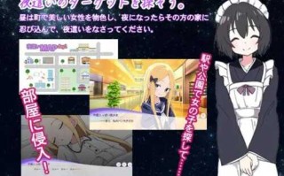 PC/【SLG/内嵌翻译/PC/】夜袭姬之愿(夜這い姫)