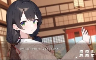 【日式ADV中文】MIKO x MIKO SISTERS 神楽家の巫女と悪霊官方中文版【200M】