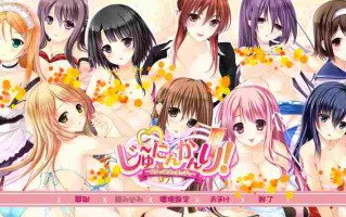 [日式ADV/汉化] 十人管理！ ～对十个少女伸出爱的手～ じゅ～にんかんり！ ～10人の乙女に愛の手を～ AI汉化版+全CG存档 [1.20G]