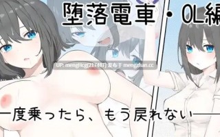 【SLG/PC/官中】堕落电车・OL篇/堕落電車・OL編 版本：2025.12.29