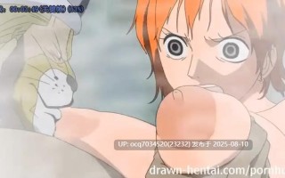 海贼王 路基与奈美