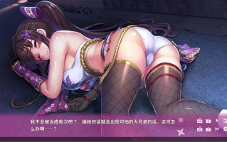 【日系/ADV/汉化】 女忍者同居生活：NinNinDays官方中文版+社保补丁【742M】【序号2552】