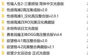 白嫖典藏,I社(hs2公司)历代50部黄油大合集