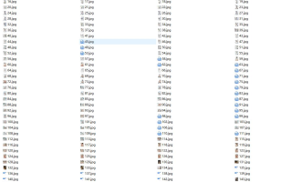 【少女秩序】少女秩序-小鱼-假玩具