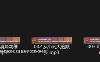 B站五月织姬中文音声小合集+舰长福利【2.07G】