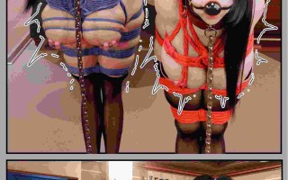 [3D全彩/中文] 缚之图鉴01-03+缚娇索01-03 [300M]