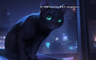 【SLG/LGPT/芭拉/PC机翻/安卓生肉】真冲突 TrueClash [v0.5] 【1.95G】【序号6968】