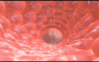 【动画 口交 束缚 调教 爆操】[夜桜字幕组][140520][SYLD]Fragrance~ボクが出會った肉便器、その香りについての記憶[中文字幕] 【舟合3093】