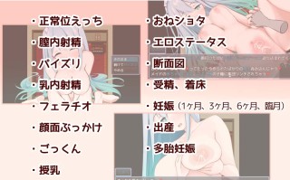 【SLG/女仆/怀孕/妊娠/小姐姐X正太/断面】[たいちょん工房]メイドinめいど v1.0.0