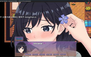 2D日式沙盒回合制RPG 机翻 -- 魔笛MAGI 特里亚斯·卡迪纳 Magi Trias Cardinator [v0.3.0] 880mb