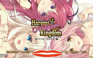 [ADV汉化] 后宫王国-异世界的后宫 Harem Kingdom FD1+FD2 汉化版+存档攻略付前作电脑7.9G