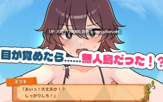 [SLG汉化安卓+PC]求生吧！无人岛性存生活♡(生き残れ！無人島サバイバル性活♡ ) ver1.07 [892M]
