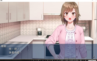 【日式/ADV/AI汉化】NTR公寓：纯真妻子陷入高层公寓的不伦之沼 NTRマンション 純真サレ妻はタワマン不倫の沼へ沈む AI汉化版+全CG【1.6G全CV】