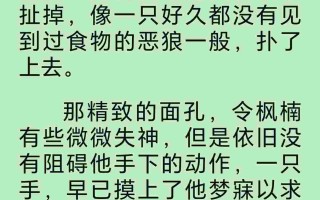 嫂子弟妹都是极品人妻（1-966章） 作者：枫叶国主