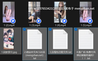 快手92W粉萝莉主播 【小胖雯几】 福利私拍吐奶足交内衣骚舞【7V 1.87G】