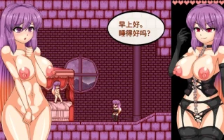 [ACT/汉化] 圣白莲与银魔魔城 Hijiri in the Succubus Castle 1.07 官方中文版电脑 [400M]