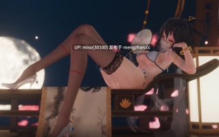 17.【定制】天依广寒宫 []