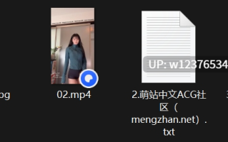 高颜值裸舞福利姬【Yum_707(玉米)】九月新作蓝衬衫开裆丝袜，抖臀摇奶，表情相当到位【733M】