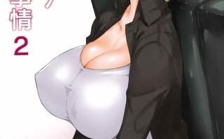 胤盛家+远坂家的事情【150M/度盘】