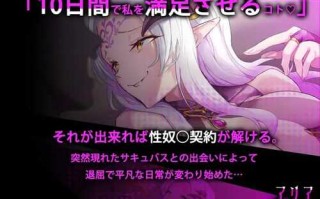 PC/SLG/魅魔咏叹调   #アリアサキュズム v1.1 个人精翻汉化版