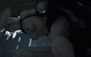 19[3D动画无修] Fatcat17 ：Ciri cottage predicament 希里 [1G]