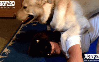 [兽X][Lise]Petals and Pets